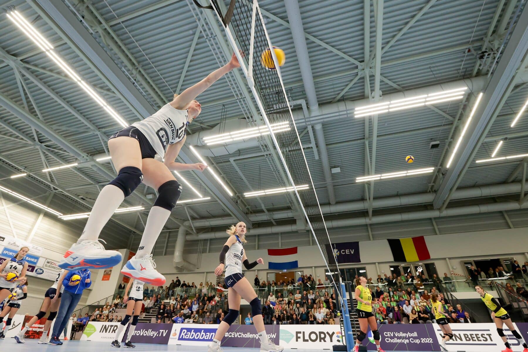 Kaartverkoop Europacup tegen Roeselare gestart